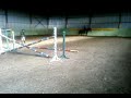 Pinia and Jantar first jump