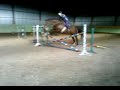 Pinia and Jantar first jump