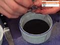 How to Harvest Squid Ink