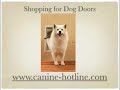 Dog Doors, Pet Doors, Cheap Dog Doors Dog Doors, Pet Doors, Cheap Dog Doors