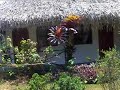 hotel-san-judas-tadeo.html