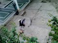 peja parkour g-star