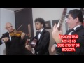 .serenatas,bogotÀ,429 43 65,trio,musica,de,cuerda,son cubano, mujer divina,violinista,duo
