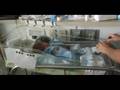 videos de Roman and Marshall 11 weeks!!