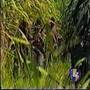 QUIENES SON LOS GENOCIDAS DE EL SALVADOR?
