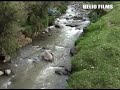 ANDAHUAYLAS-TALVERA-STA ROSA