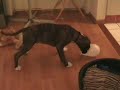 Guus met ballon