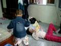 videos de MOV02662.MPG