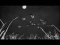 The Raveonettes - Black/White