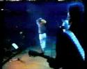 Kim Wilde Chequered Love/Cambodia (Live in Holland in 1986)