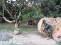 O Clan ADear Clearing up