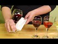 Wine Tasting Tips : Color in Wine Tasting