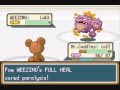 Teddiursa low level solo run - Koga