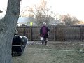 Sca fight, backyard practice #10