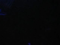 tresor party in eskulap club, poznan, poland.