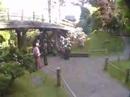 JAPANEESE GARDEN - SAN FRANCISCO OGROD