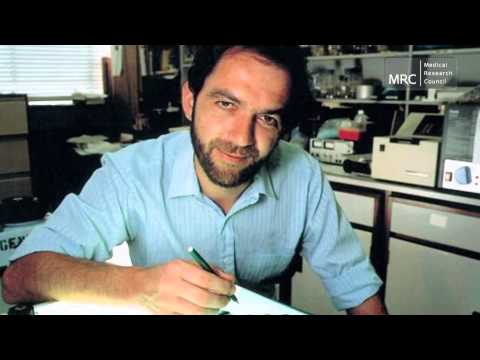 how to dna test while pregnant