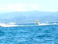 Boracay Island, Philippines - fly fish beach ...