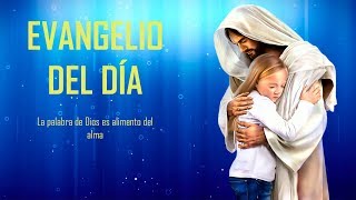 Evangelio de hoy 18 de agosto de 2018 Dejad que lo