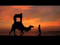 Where In The World Is Osama Bin Laden? Trailer