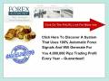 truth about forex automoney