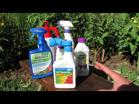how to make a neem oil