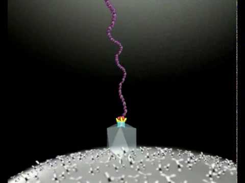 Imagen de previsualización de YouTube