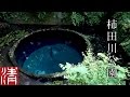 【自然浴60分】柿田川公園 / 静岡県駿東郡清水町 - Nature Sounds 60min