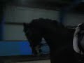 MVI_3212.flv