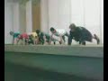 Ensaiando YMCA