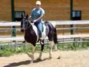 Kristi Riding Zeppeling Bareback - pregnant Kristi Riding Zeppeling Bareback - pregnant