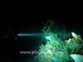 Ancient Death in Cenote with Playa Scuba Dive Center