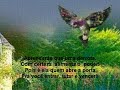 Resgate de uma Flor sem jardim! Reflexão ( Musica Enya) )