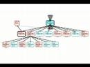 Interactive Visualization of Genealogical Graphs