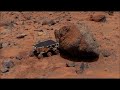 MARS NASA COVERUP LIARS 2012