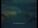 Unterwasser-Rugby / Underwater Rugby #2