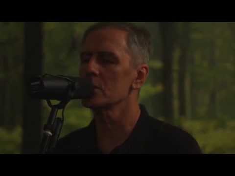 Robert Forster: Let Me Imagine You (official)