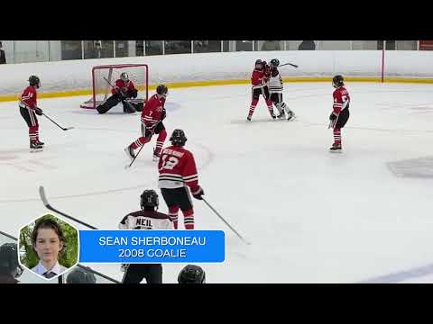 Saves from the Toronto Marlboros Tournament Dec.27-30th, 2022