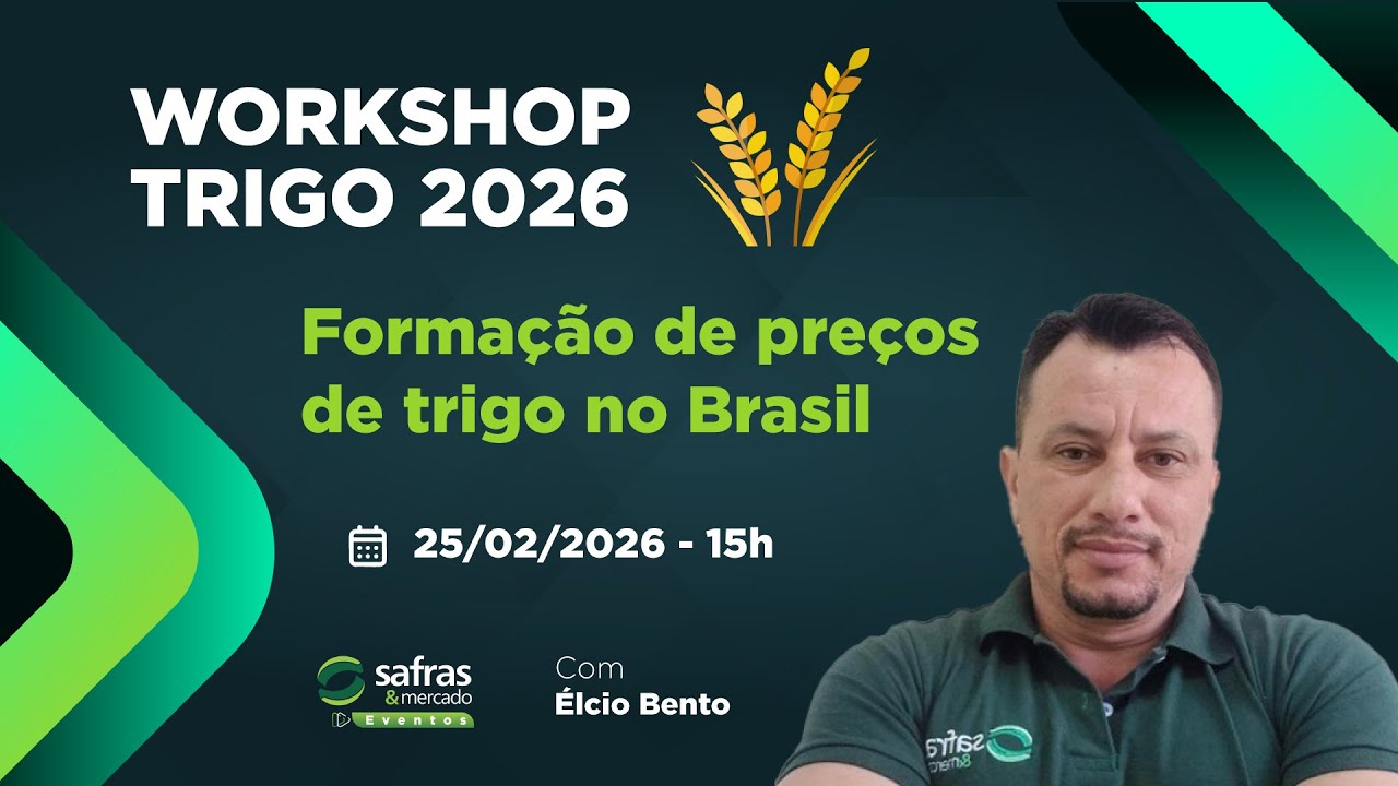 Formação de preços de trigo no Brasil: saiba a hora certa para negociar