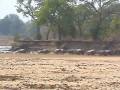 North Luangwa Walking Safari