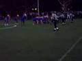 halrem gators football
