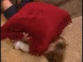 Supernanny Outtakes 3 Supernanny Outtakes 3