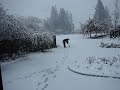 Snowing in Oxford, Canterbury, New Zealand
