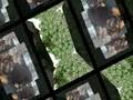 videos de random stuf