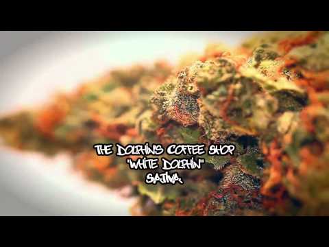 prostitute en san francisco ca