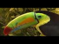El Tucan El Tucan