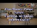 EXPO MAGUEY - PULQUE Y CHARRERÍA