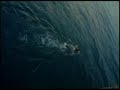 Dvor�k Requiem 89 - Ponte dos Ingleses
