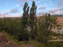Bárcena de Bureba