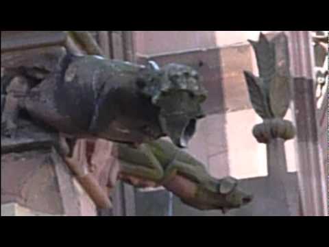 freiburger münster - die wasserspeier